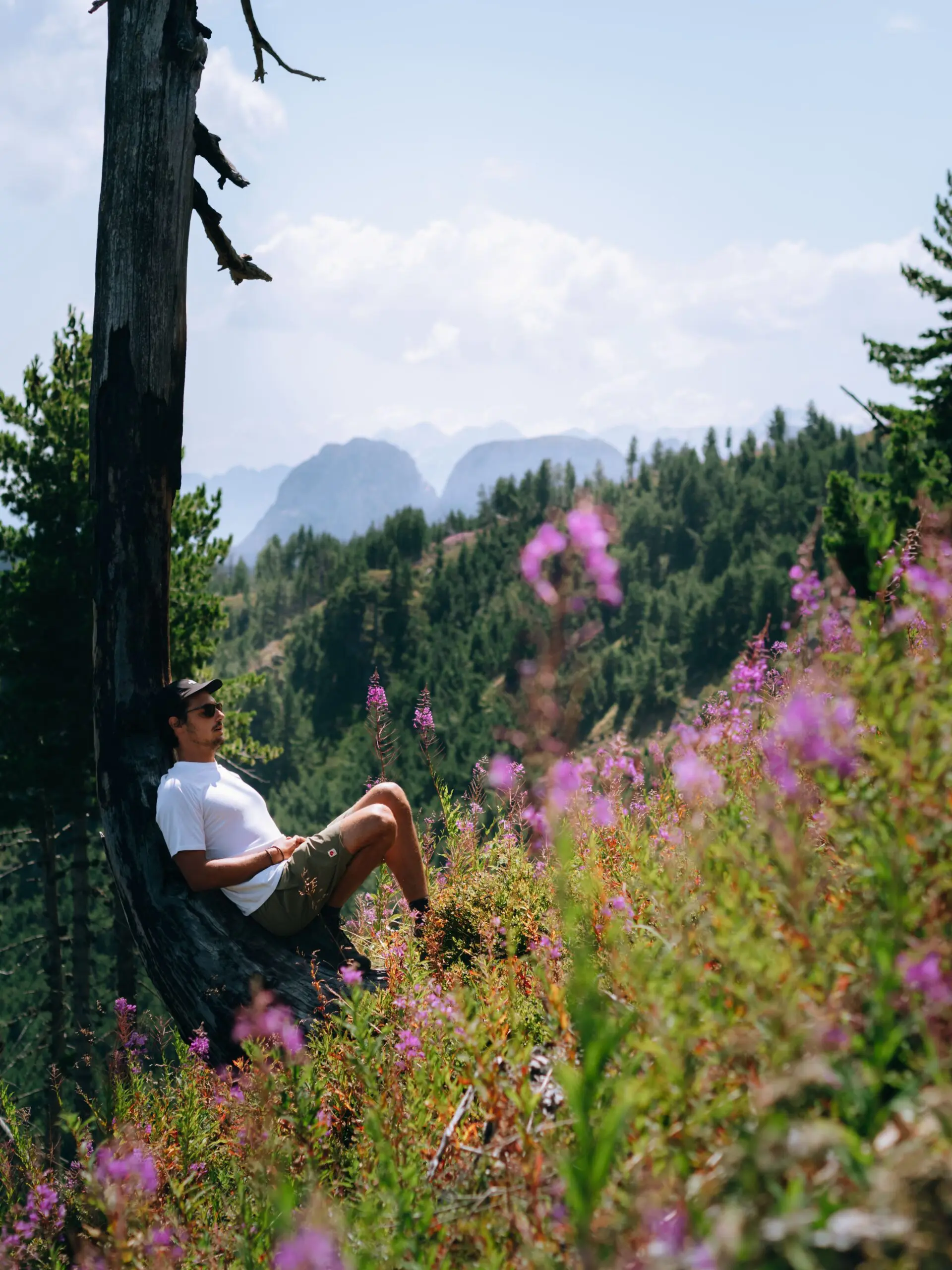 Randonneur profitant du calme au milieu des fleurs dans les Balkans