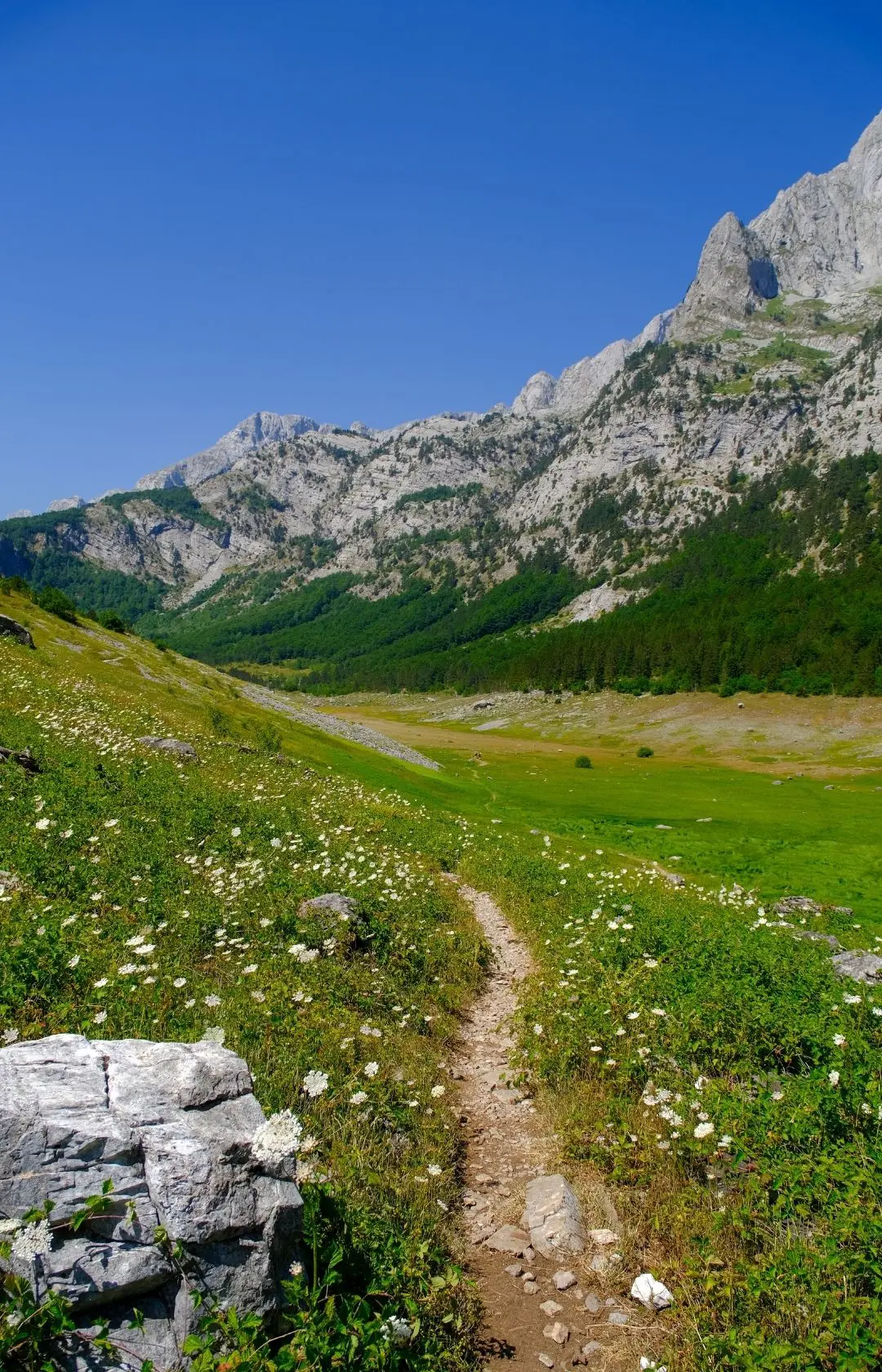 Balkan Trail