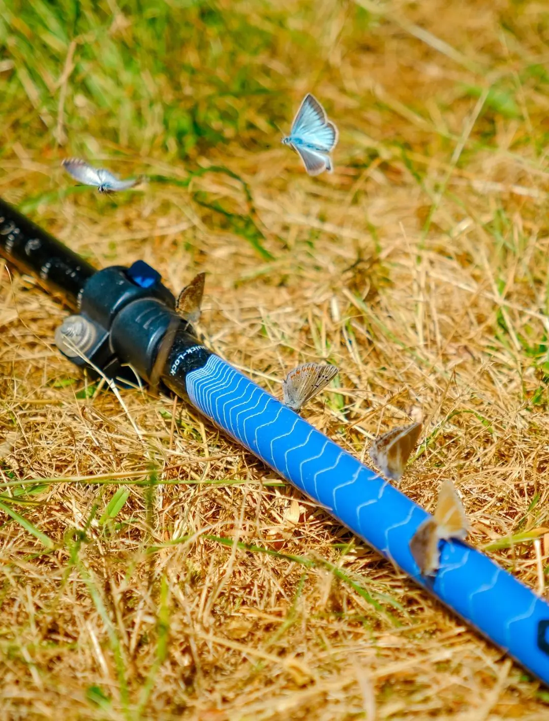 Peaks of the Balkans: The Balkan Trail