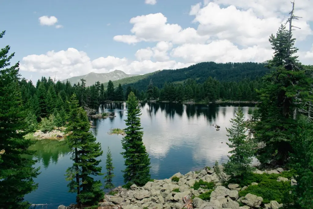 serene mountain lake surrounded by pine forest and rocky shore