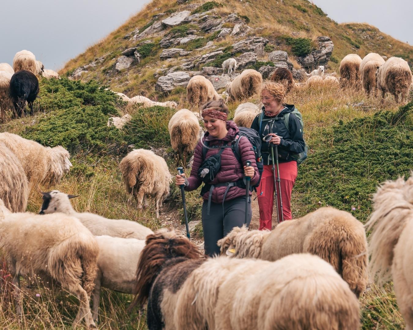 The Balkan Trail - Peaks of The Balkans