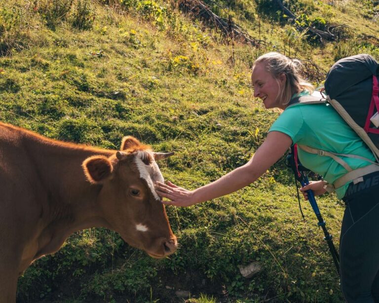 The Balkan Trail - Peaks of The Balkans