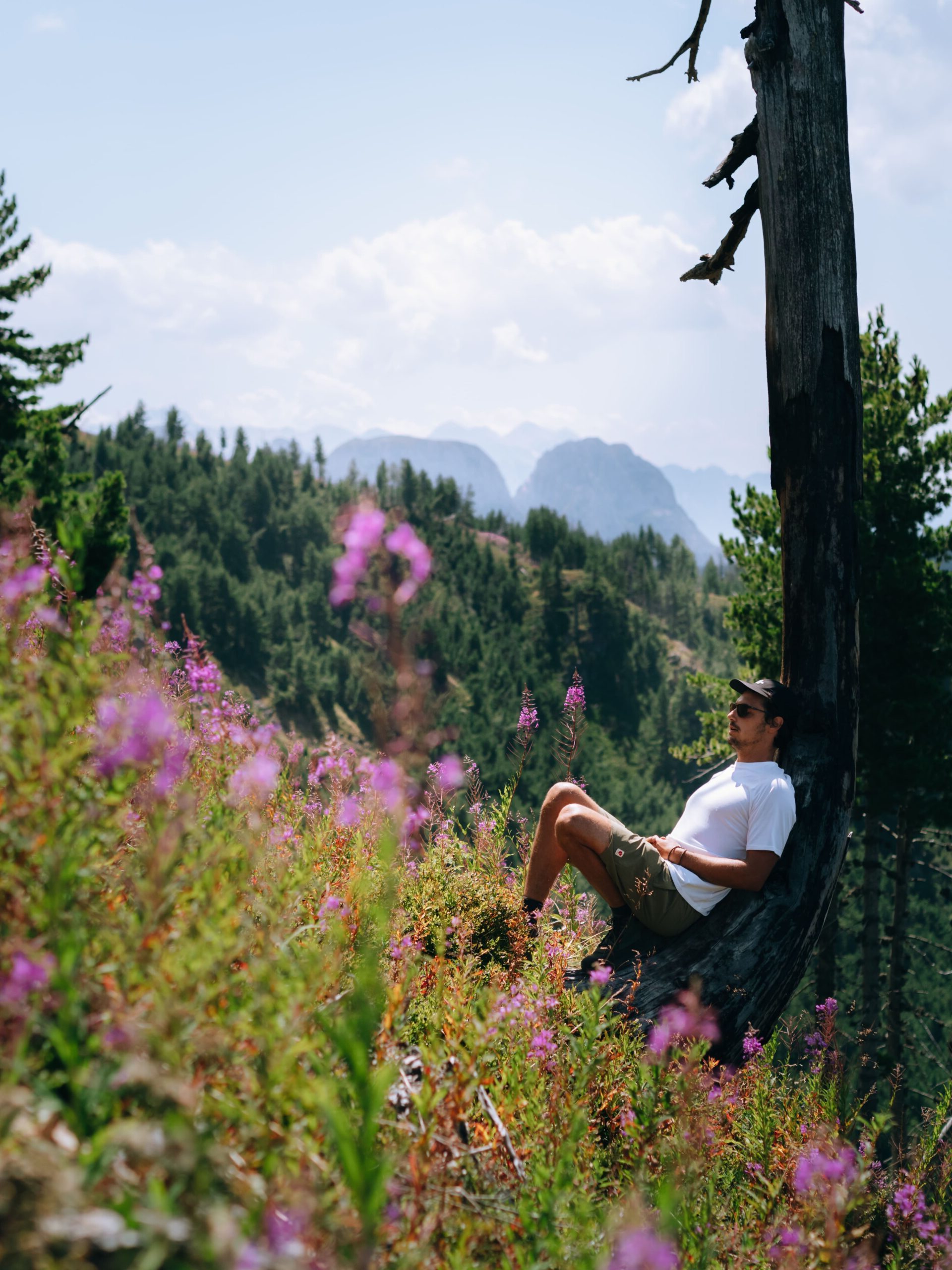 Randonneur profitant du calme au milieu des fleurs dans les Balkans