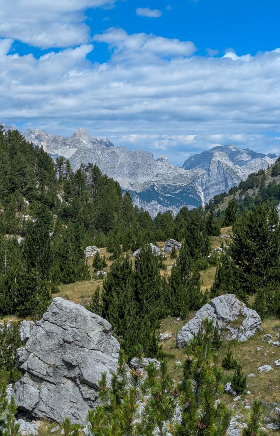 The Balkan Trail Butterfly Foundation