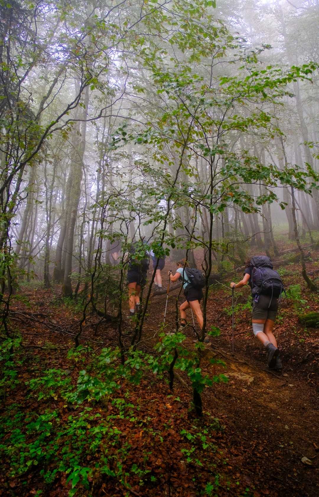 Balkan Trail