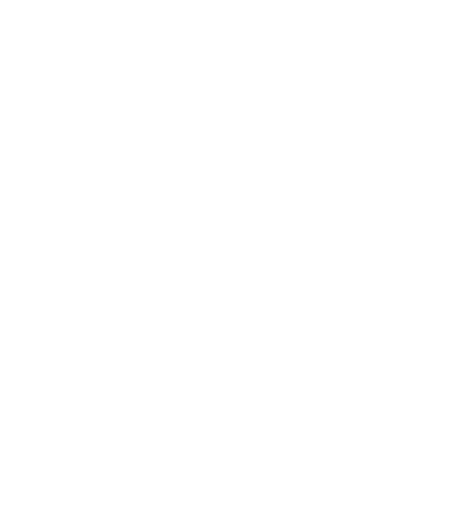 Balkan Trail Logo