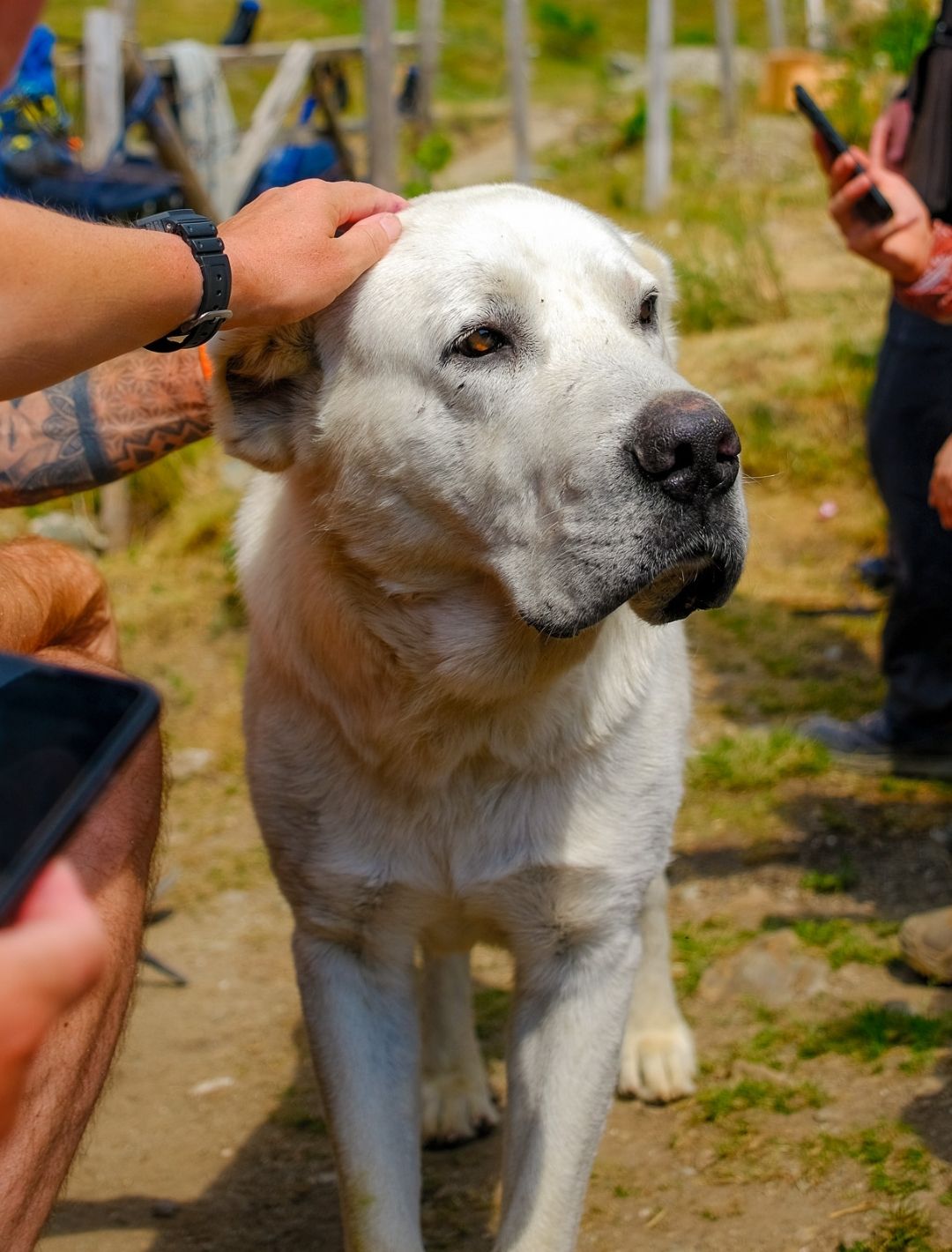 Peaks of the Balkans: The Balkan Trail