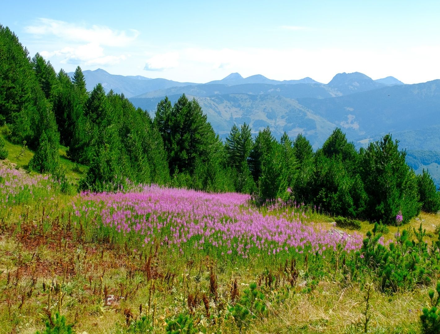 Peaks of the Balkans: The Balkan Trail